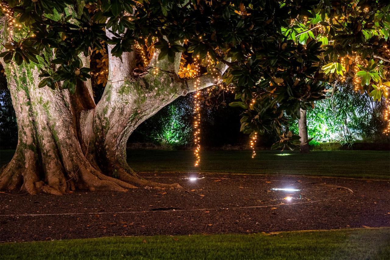Hotel Villa I Pini Malo  Eksteriør bilde